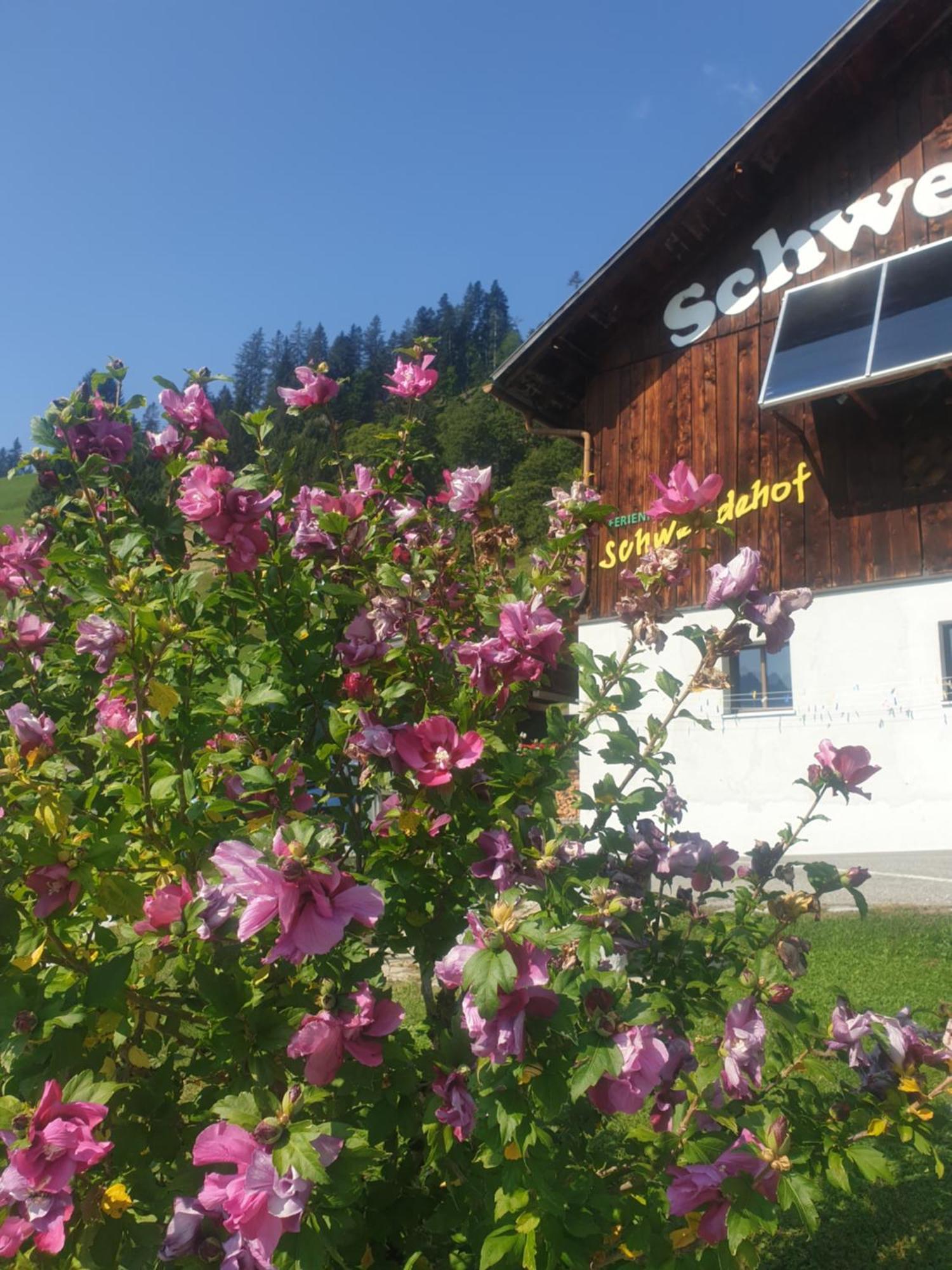 Ferienhaus Schwendehof Фонтанела Екстериор снимка